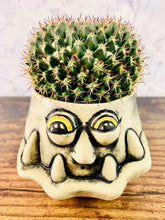 Load image into Gallery viewer, Frank SinPotra