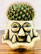 Load image into Gallery viewer, Frank SinPotra