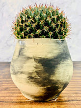 Load image into Gallery viewer, Frank SinPotra