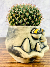 Load image into Gallery viewer, Frank SinPotra
