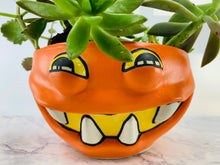 Load image into Gallery viewer, Smashing Bumpkins