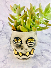 Load image into Gallery viewer, Bling Lemon Jefferson