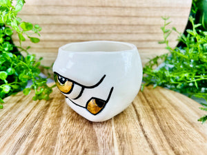 Professor Oculus Ginseng