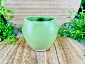 Greenia Jalapeñia