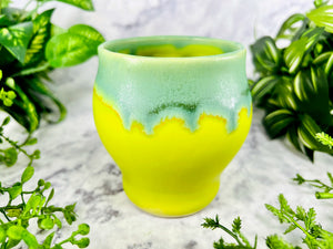 Oregano Boozly