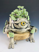 Load image into Gallery viewer, Ashroot Guardian
