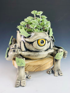 Ashroot Guardian