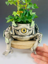 Load image into Gallery viewer, Ashroot Guardian
