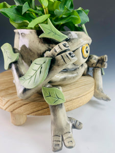 Ashroot Guardian