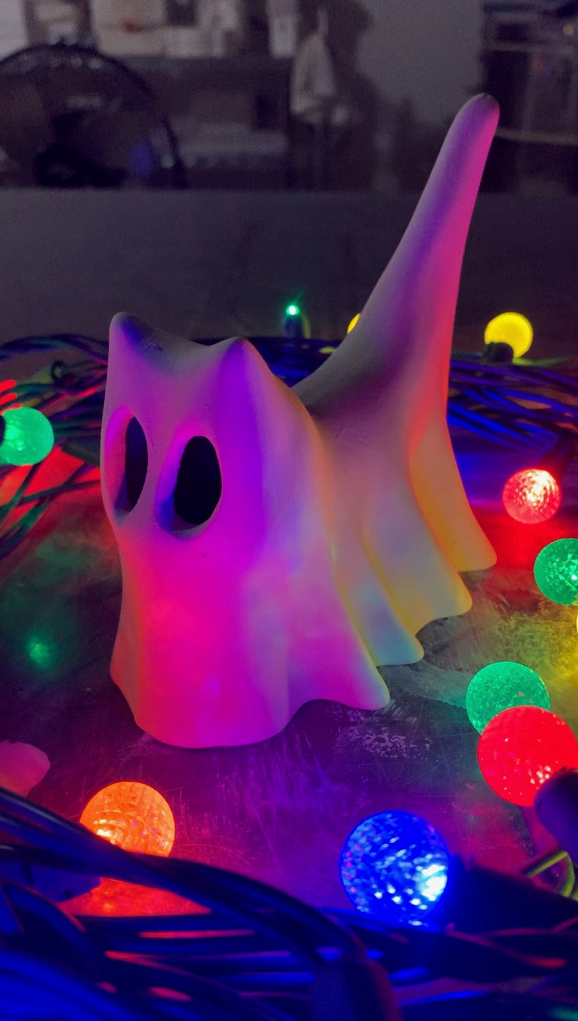 Ghost Cat