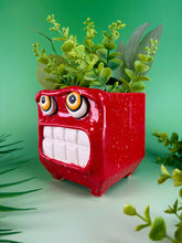 Load image into Gallery viewer, Red Hot Chili Planter
