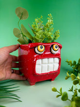 Load image into Gallery viewer, Red Hot Chili Planter

