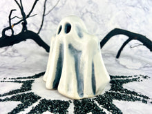 Load image into Gallery viewer, Ghost Busted
