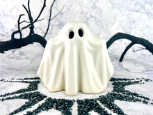 Load image into Gallery viewer, Barry&#39;s VIP Halloween Spooks
