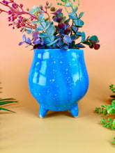 Load image into Gallery viewer, Babe the Blue
