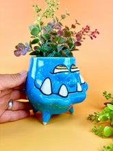Load image into Gallery viewer, Babe the Blue

