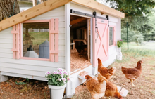 Load image into Gallery viewer, Chicken Coup For Home
