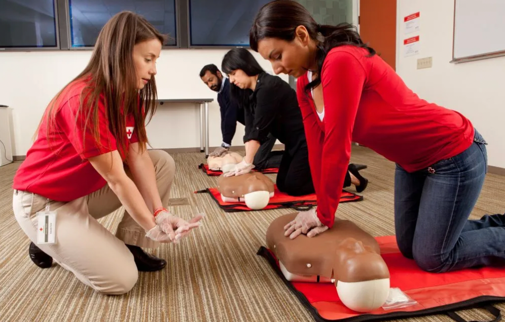 Adult & Pediatric First Aid & CPR Course